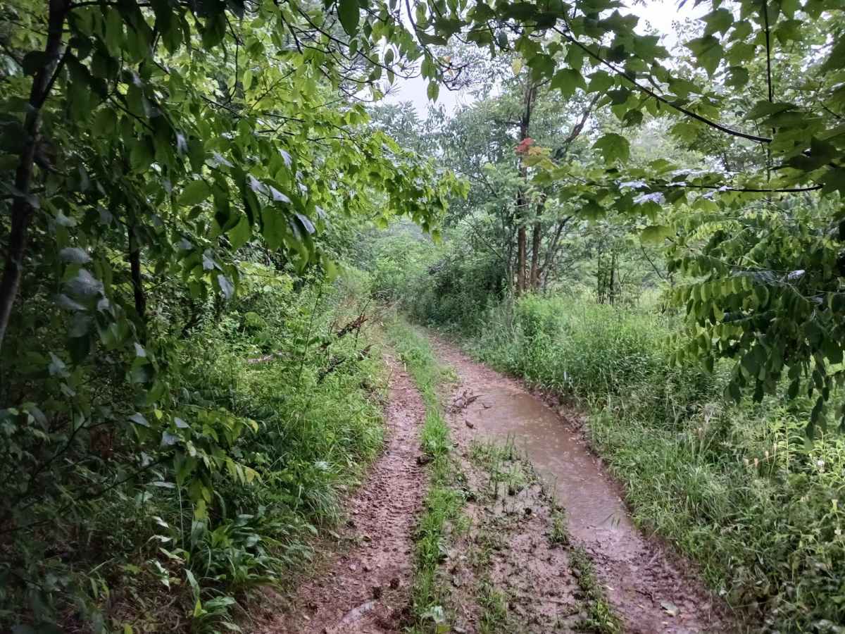 Trail 3D - Rock Run Recreation Area photo 5
