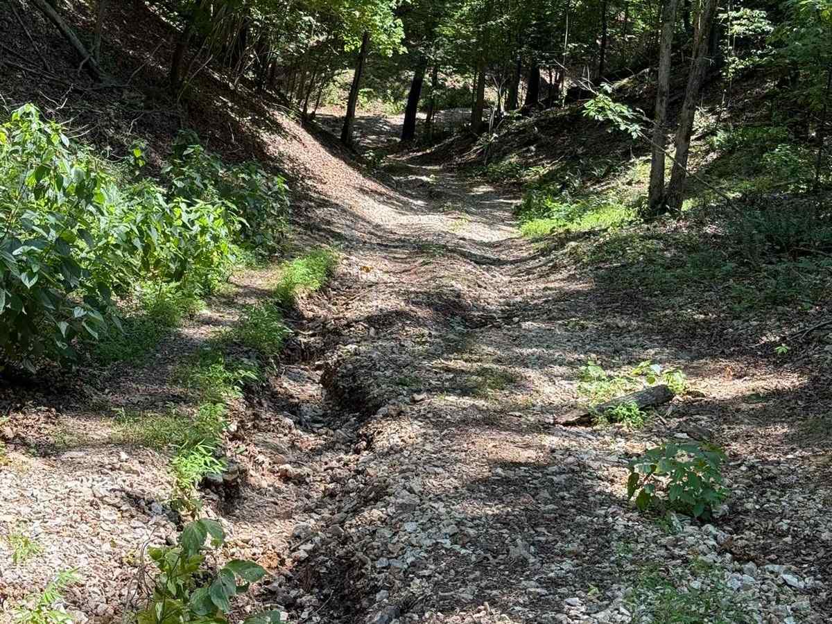 Gunnar's Trail photo 6