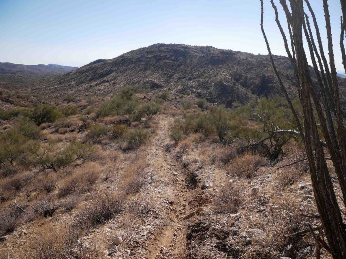 Sim's Trail photo 4