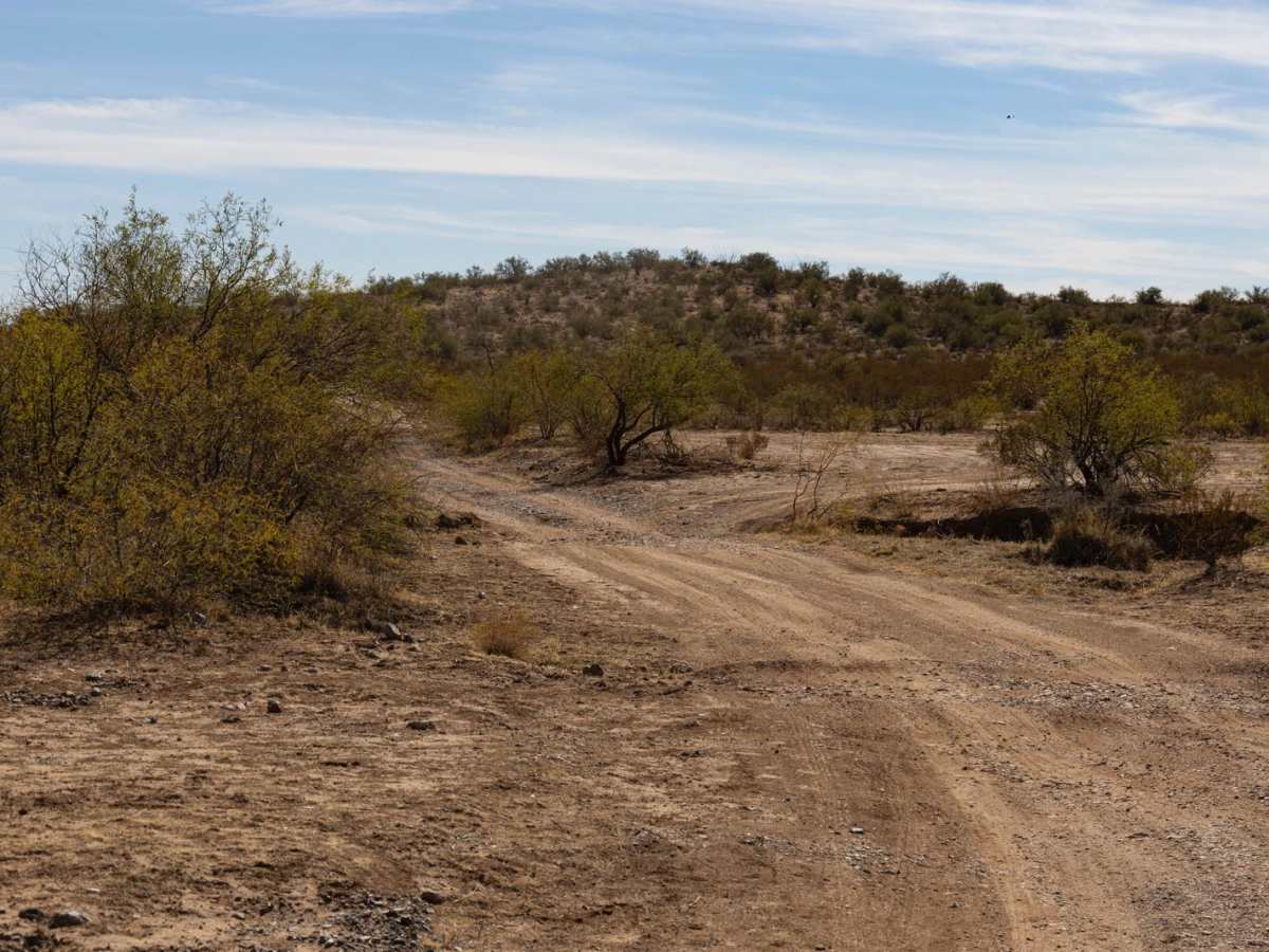 Effie Camp trail photo
