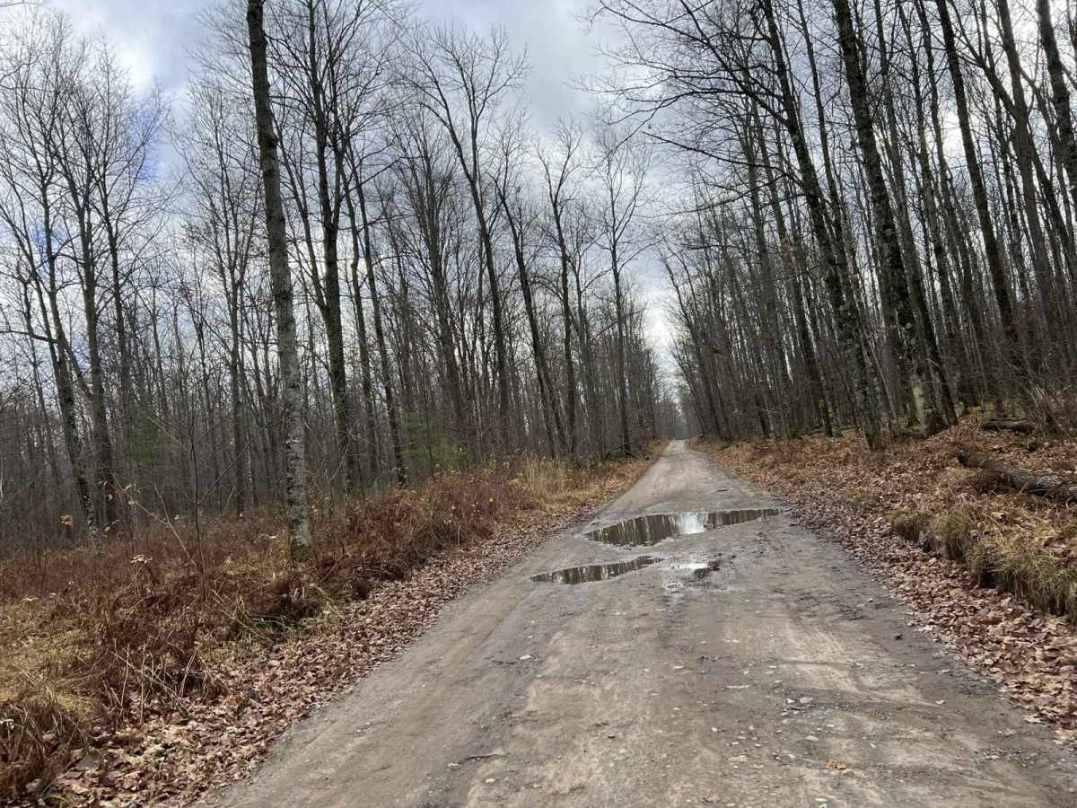 Florence County Trail H- Northwoods Drive photo 3