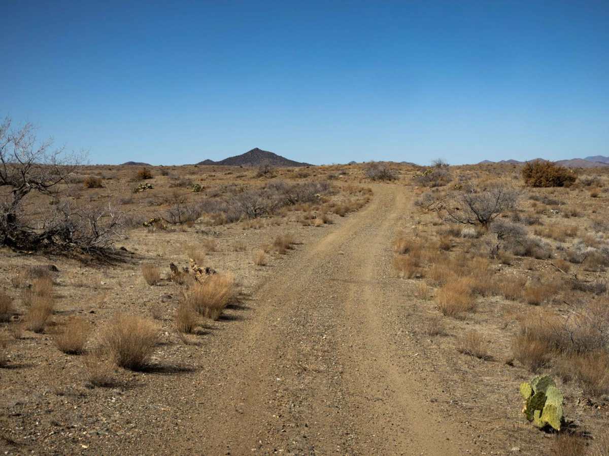The Way Out photo 4