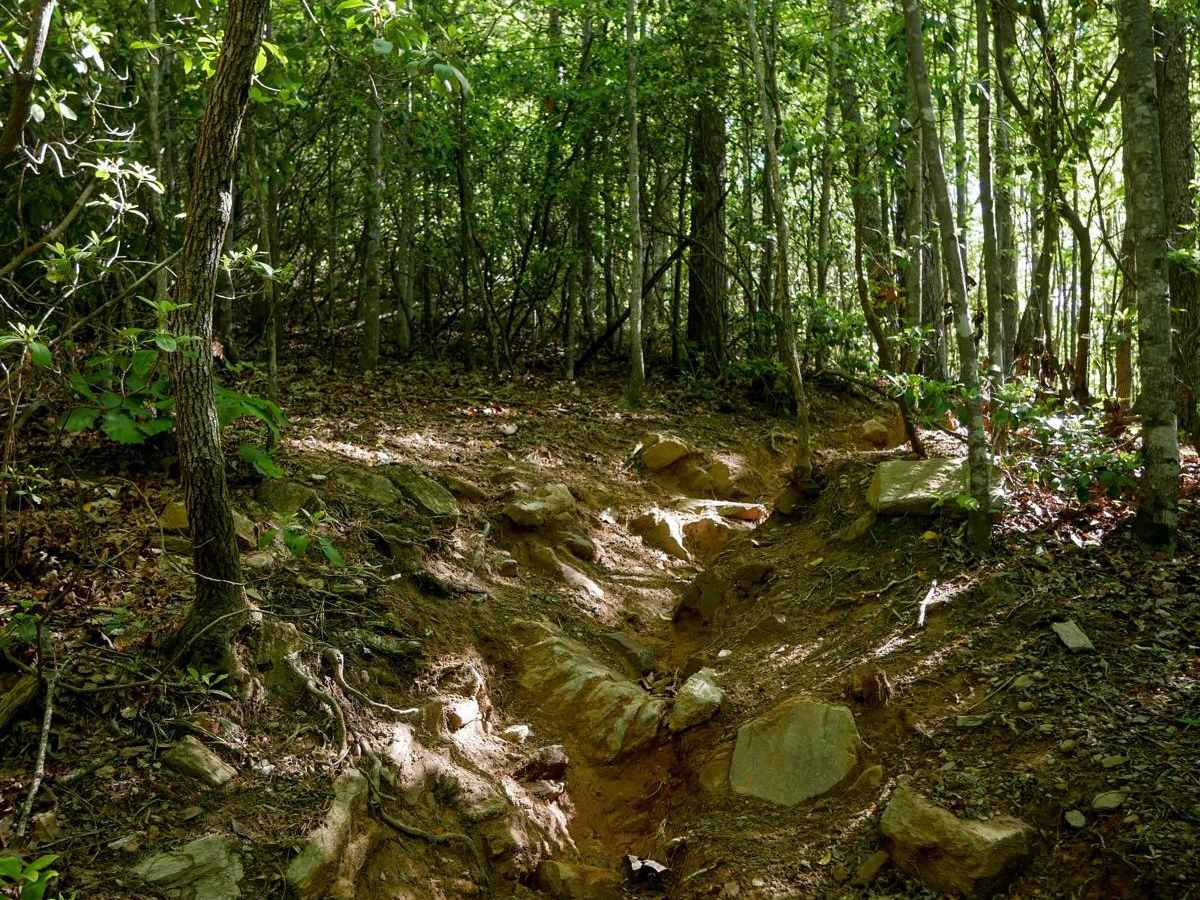 6B trail photo