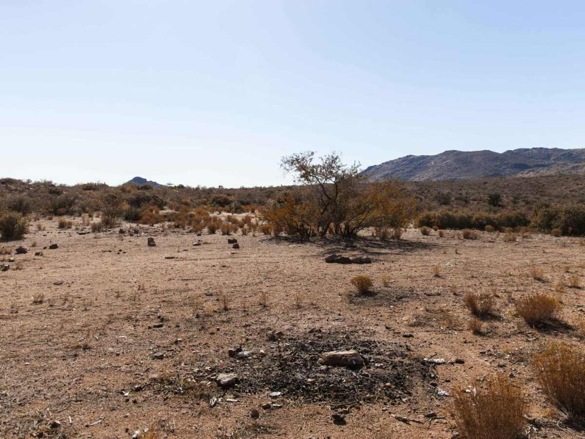 Quail Spring Cutoff photo 3
