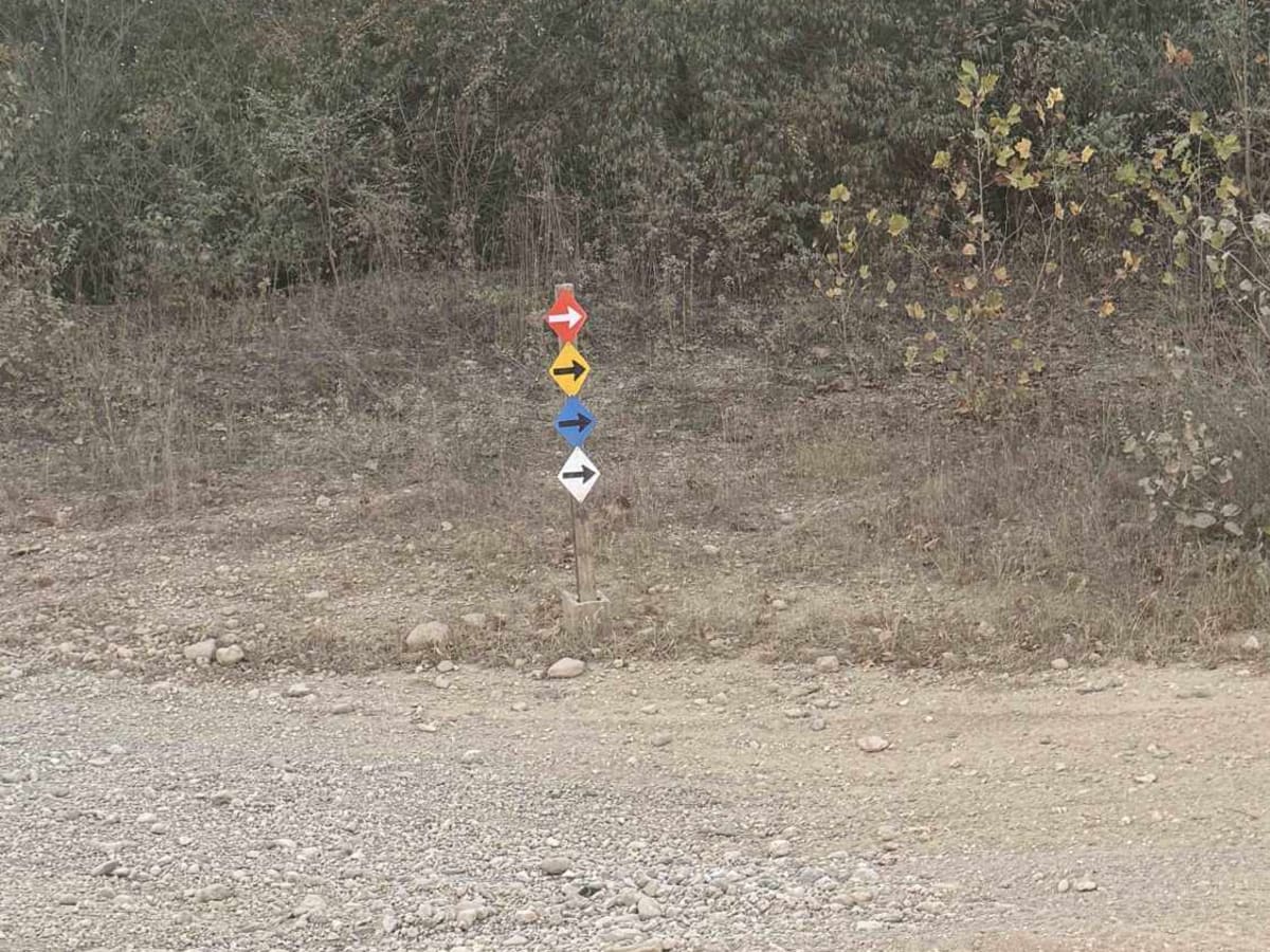Blue Trail photo 2