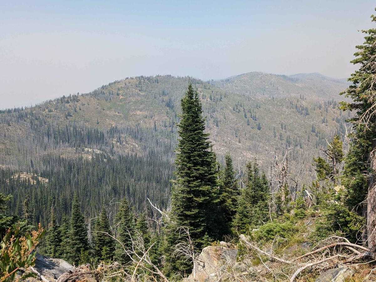 Nut Basin - FR 441 photo 4