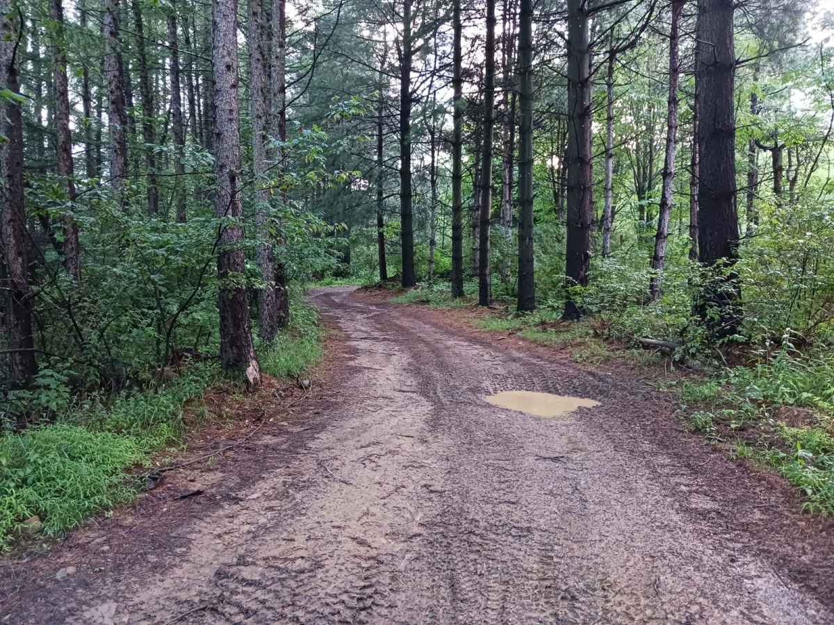 Trail 12K - Rock Run Recreation Area photo 5