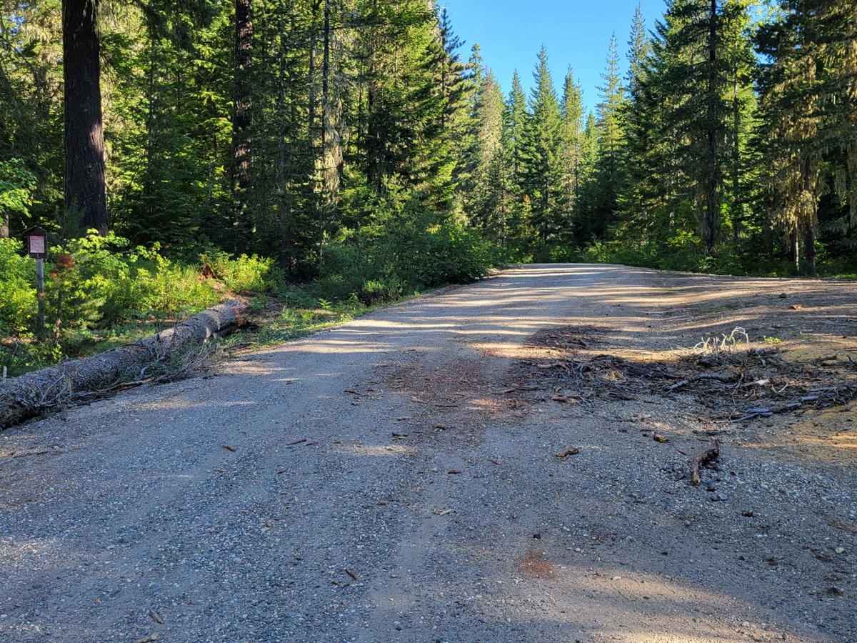 FR - 6020 trail photo