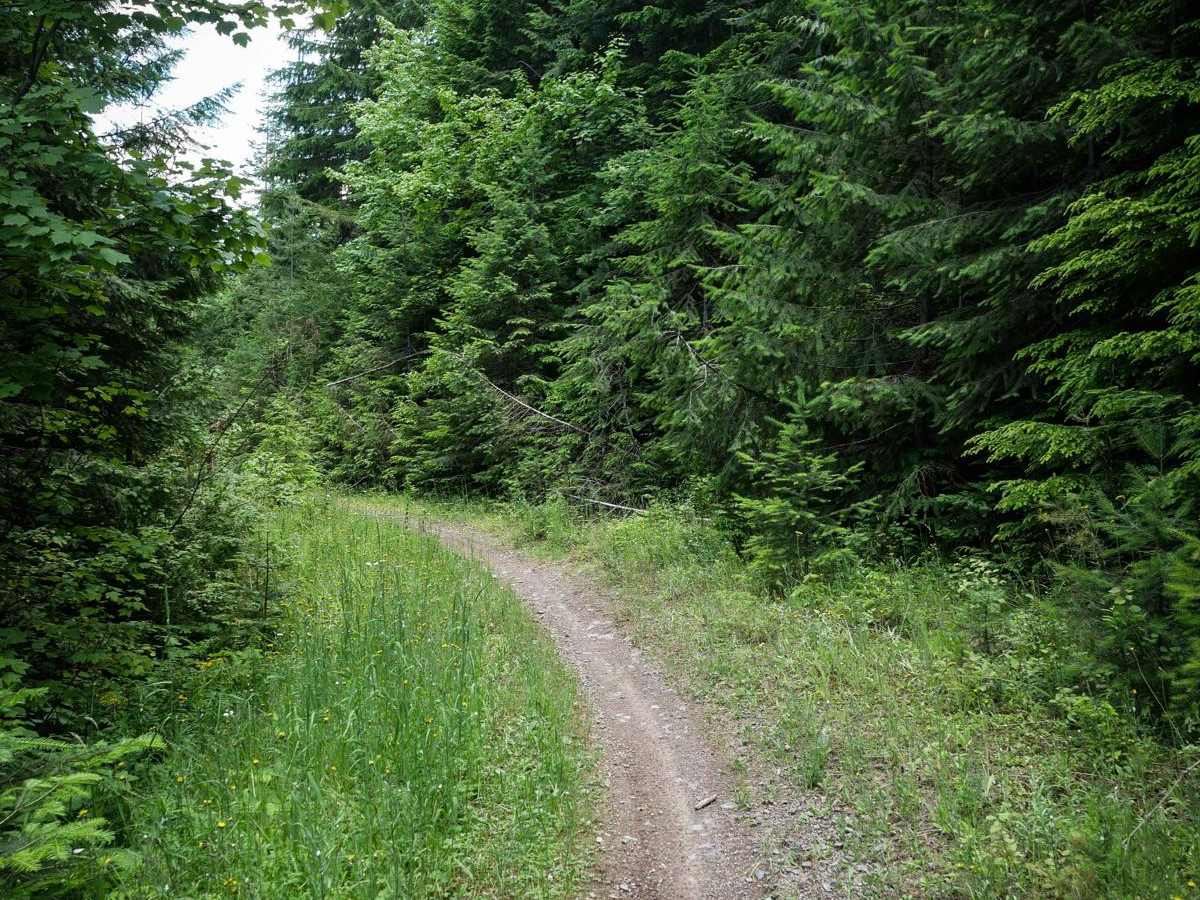 Canfield Mountain - Trail A (East) photo 3