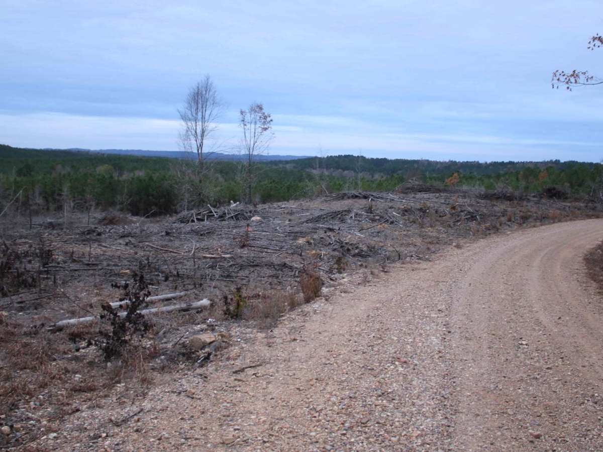 Buck Valley photo 3