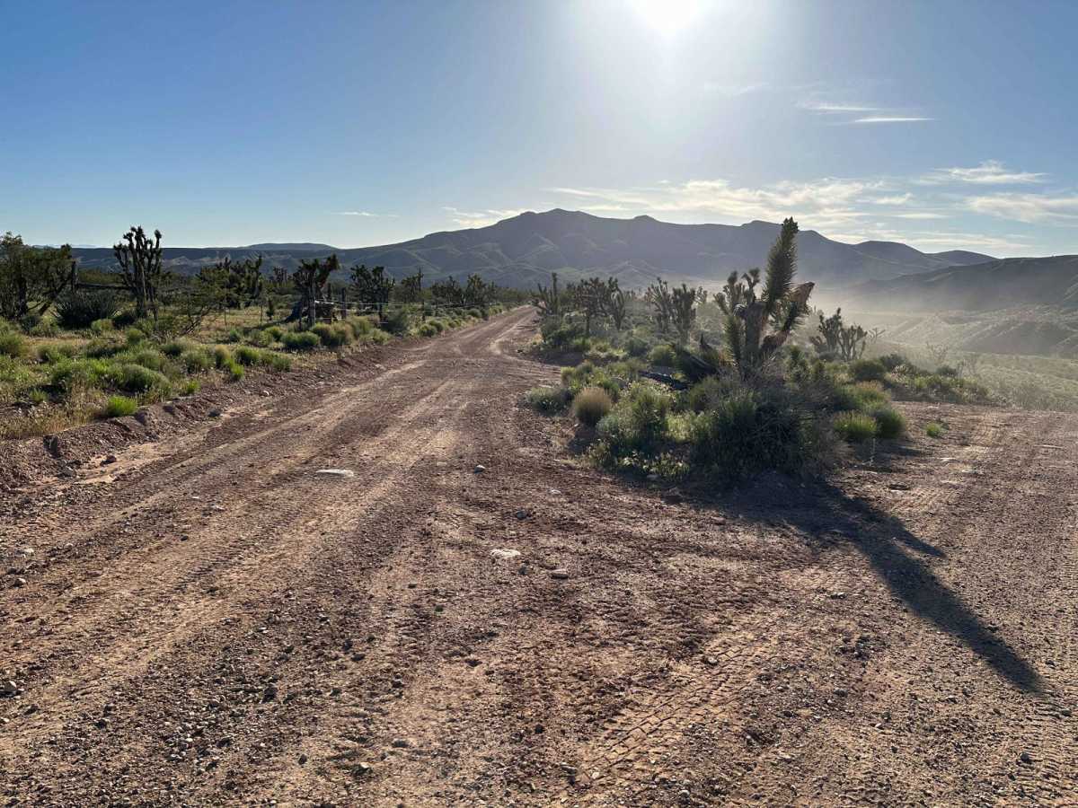 Scarecrow Peak Road photo 2