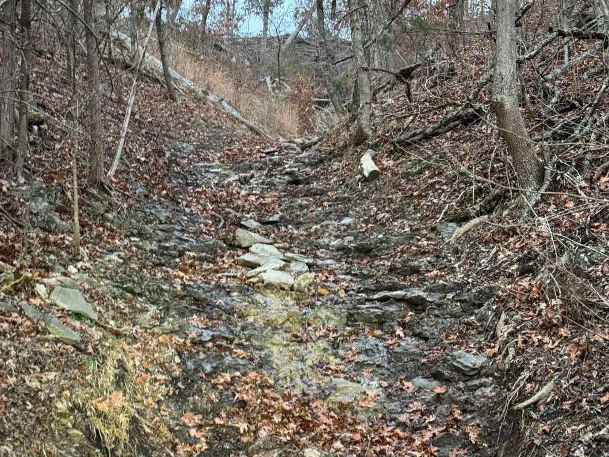 Red 294 trail photo
