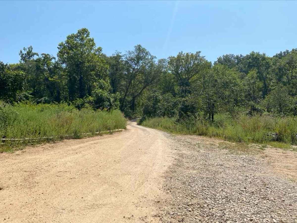 Reynolds - CR 468 photo 3