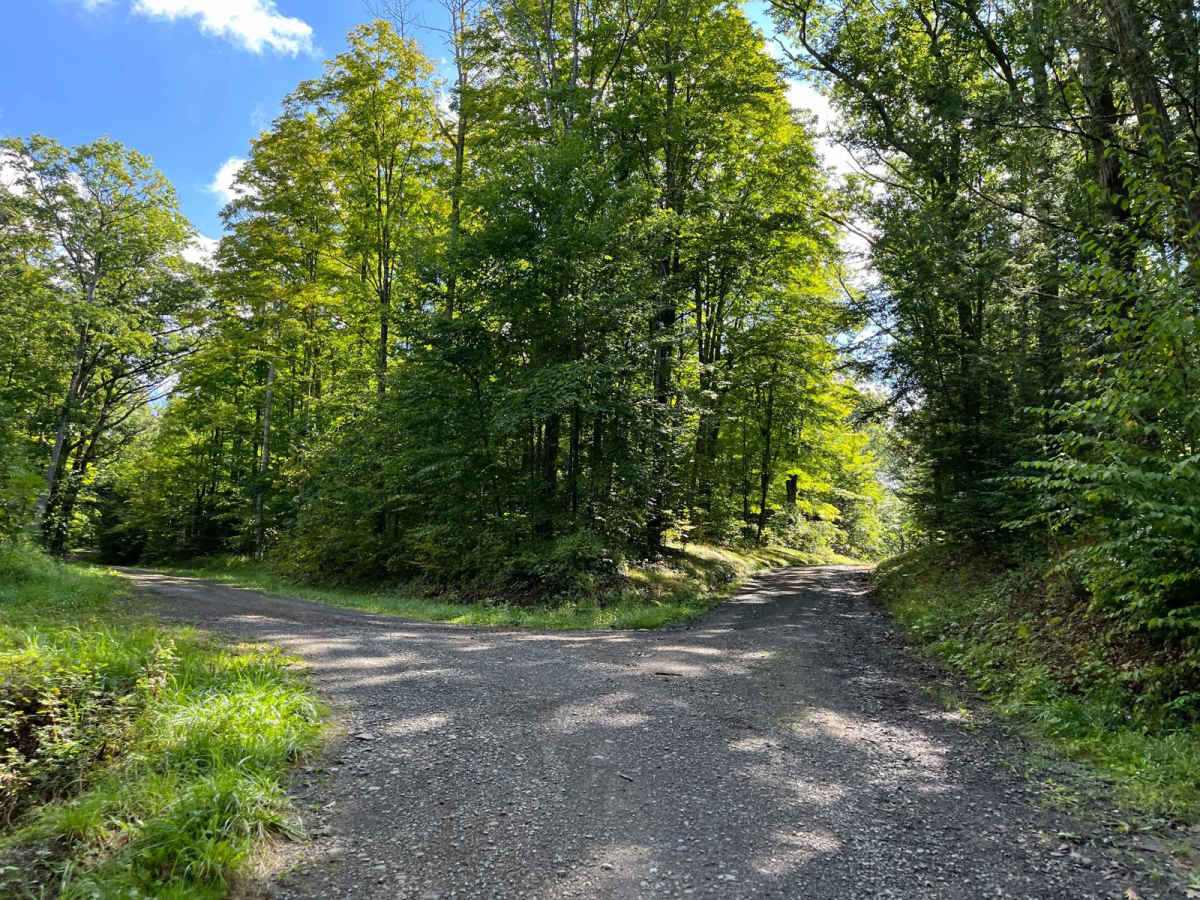 Bull Hill Road photo 5