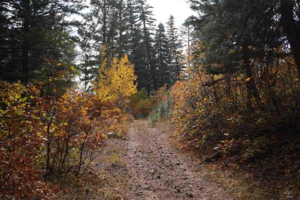 Mule Mountain Spur 2