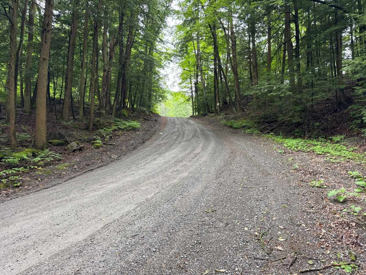 Hog Town Road photo 6