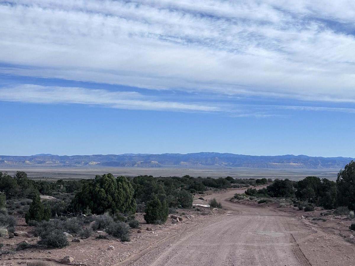 CR137 trail photo