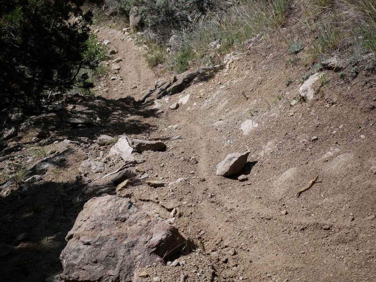 BLM 9 (Dry Creek Single Track) photo 2
