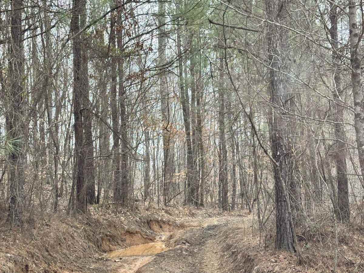 406A trail photo