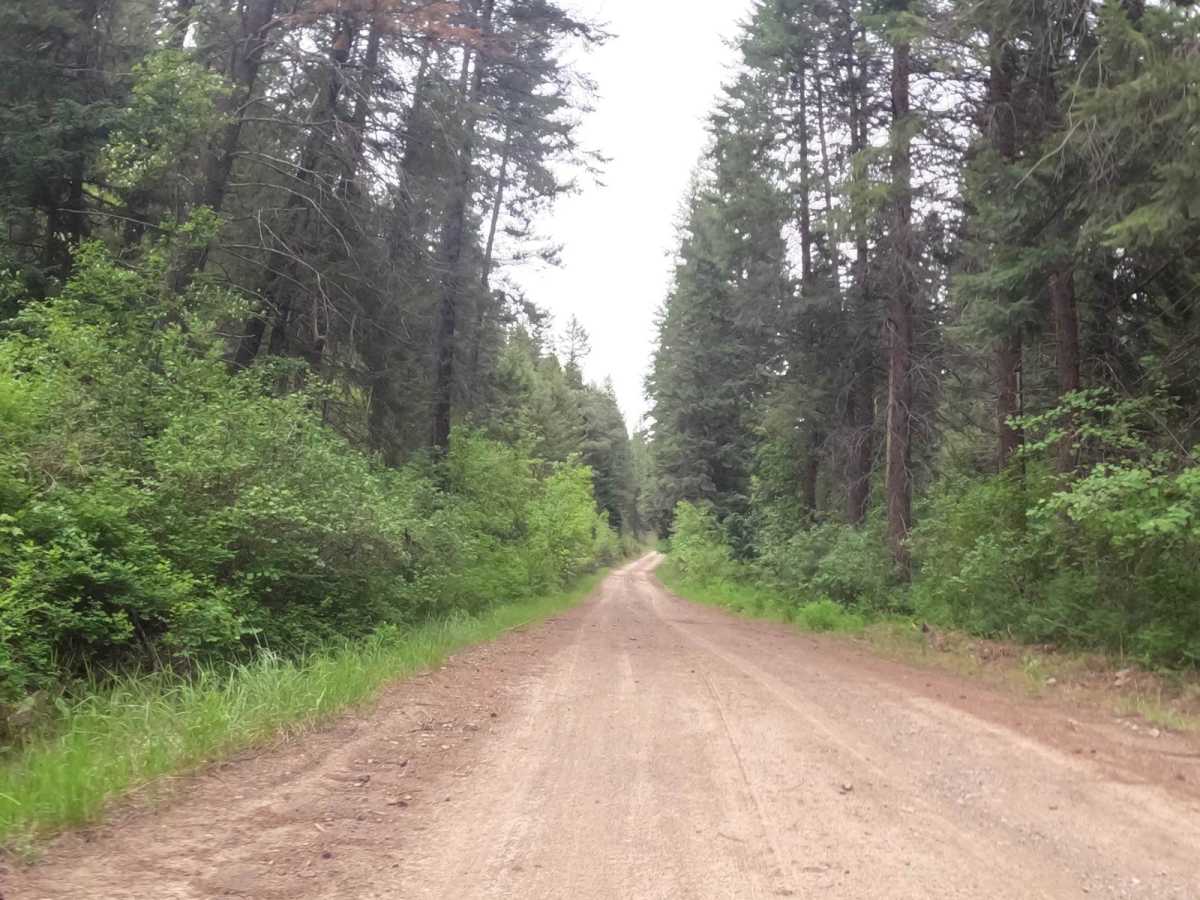 Second Creek Road-First Creek Road photo 4