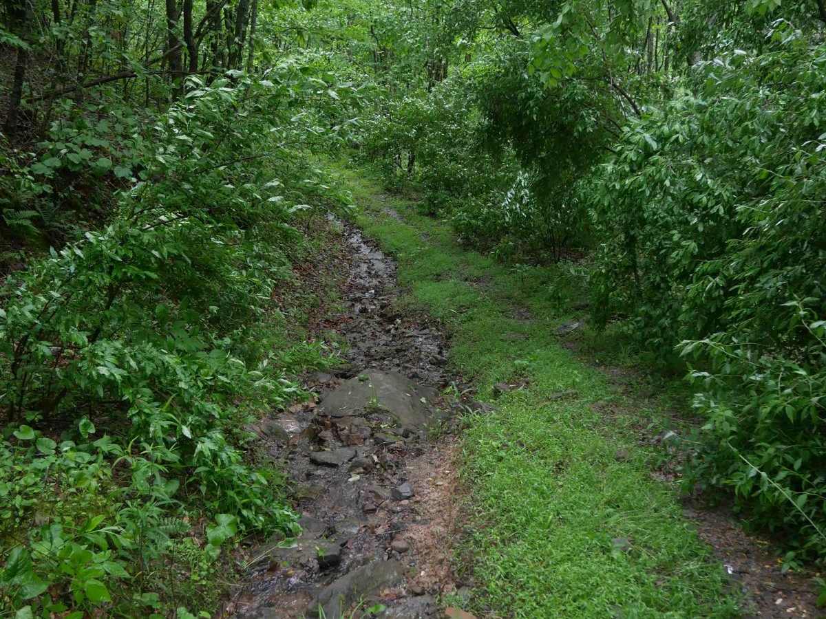 CC70 photo 4