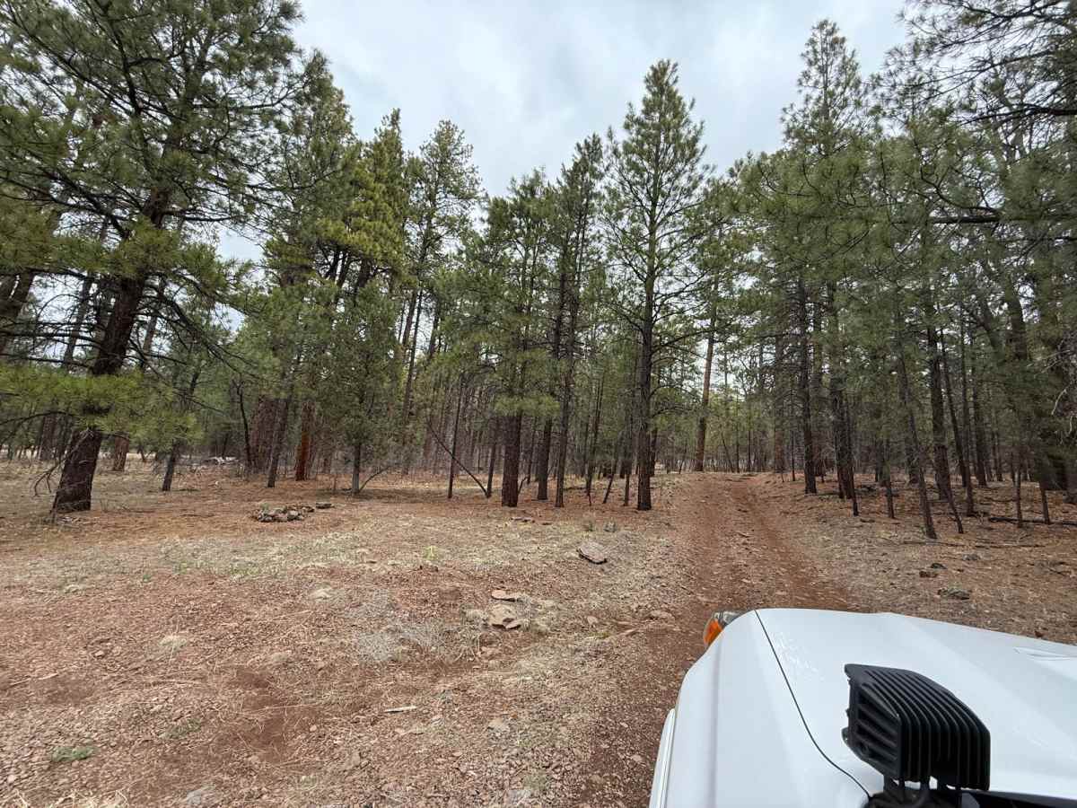 Trail 57 photo 3