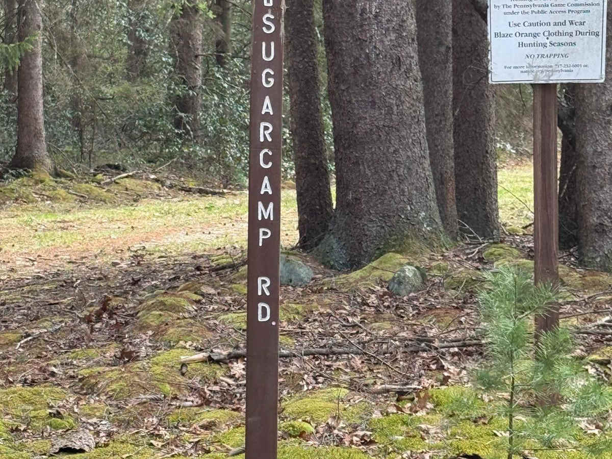 Sugar Camp Road trail photo