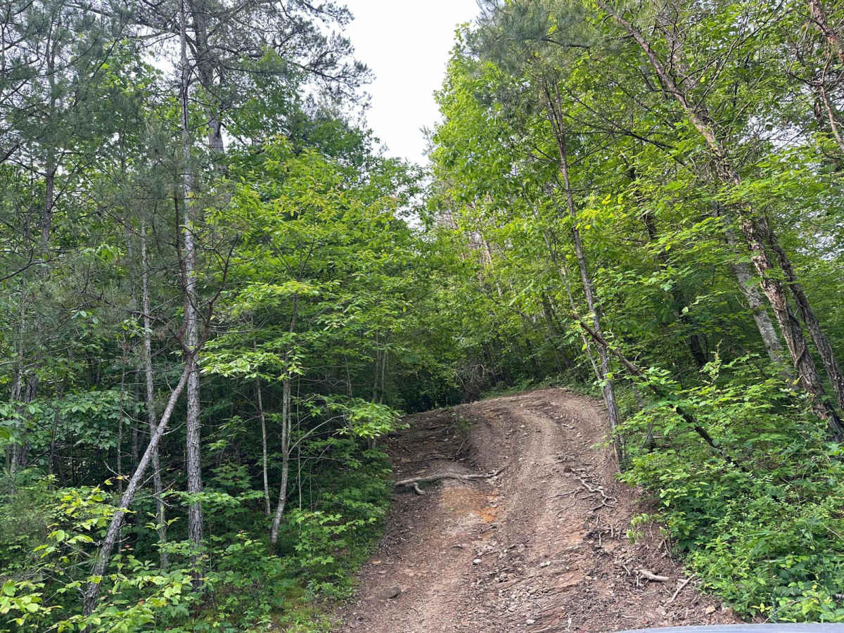 Pine Flat - Laurel Fork Road photo 4