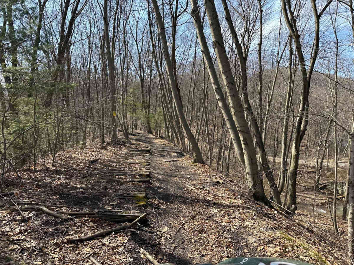 Ashland 114 photo 4