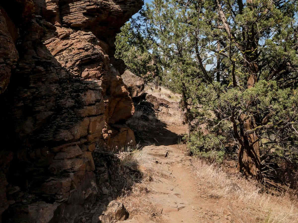 99 trail photo