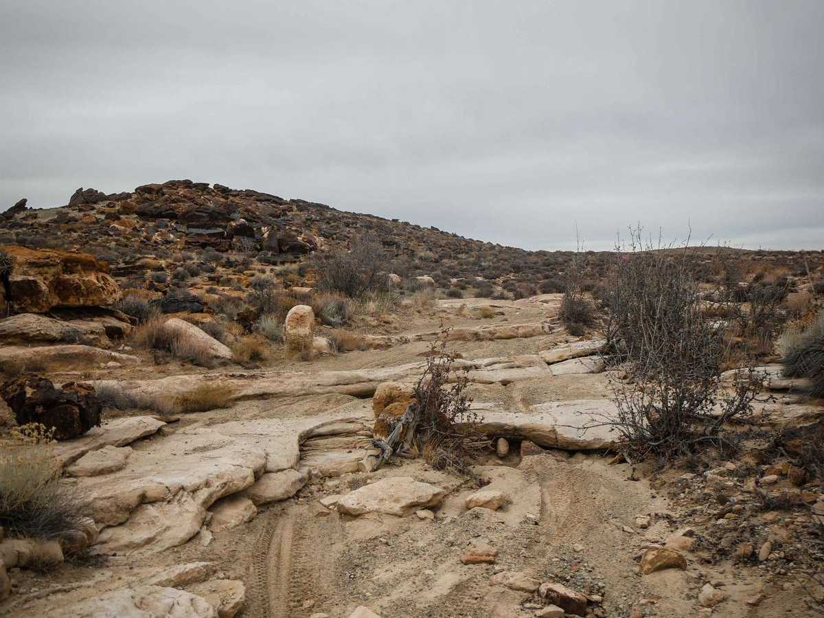 Cedar Mountain photo 2