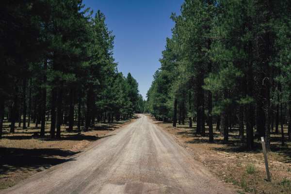 Frenchy Springs Road