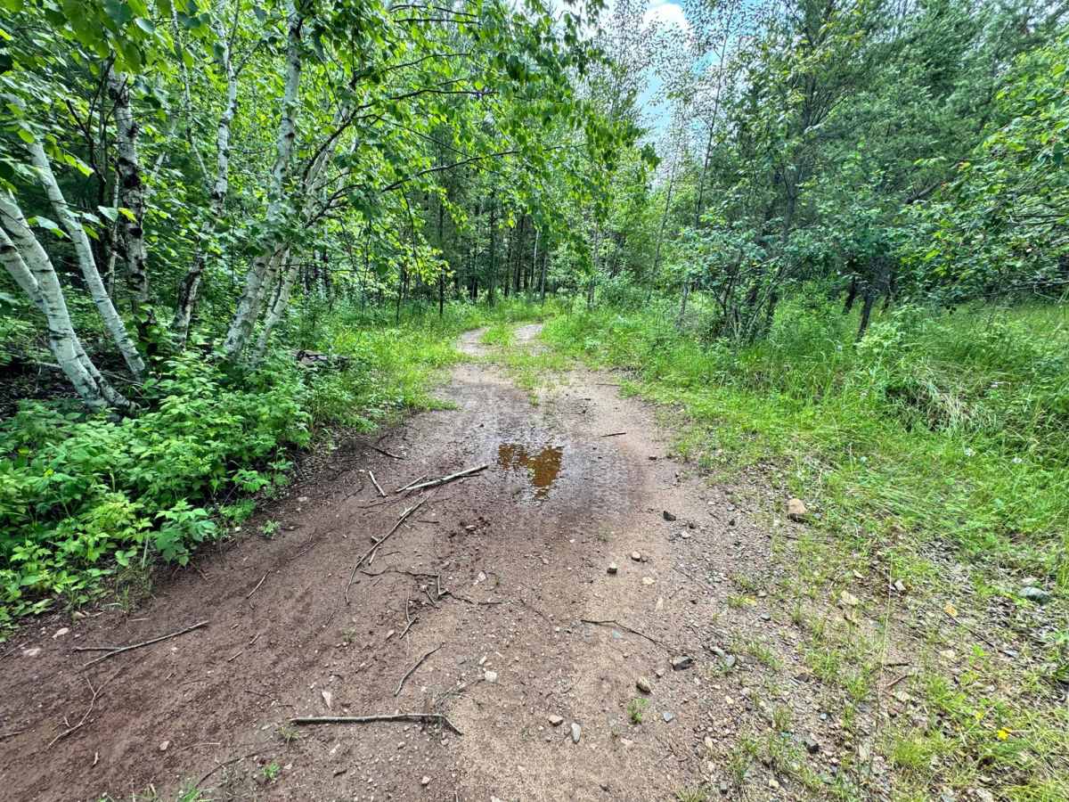 Camper Trail photo 6