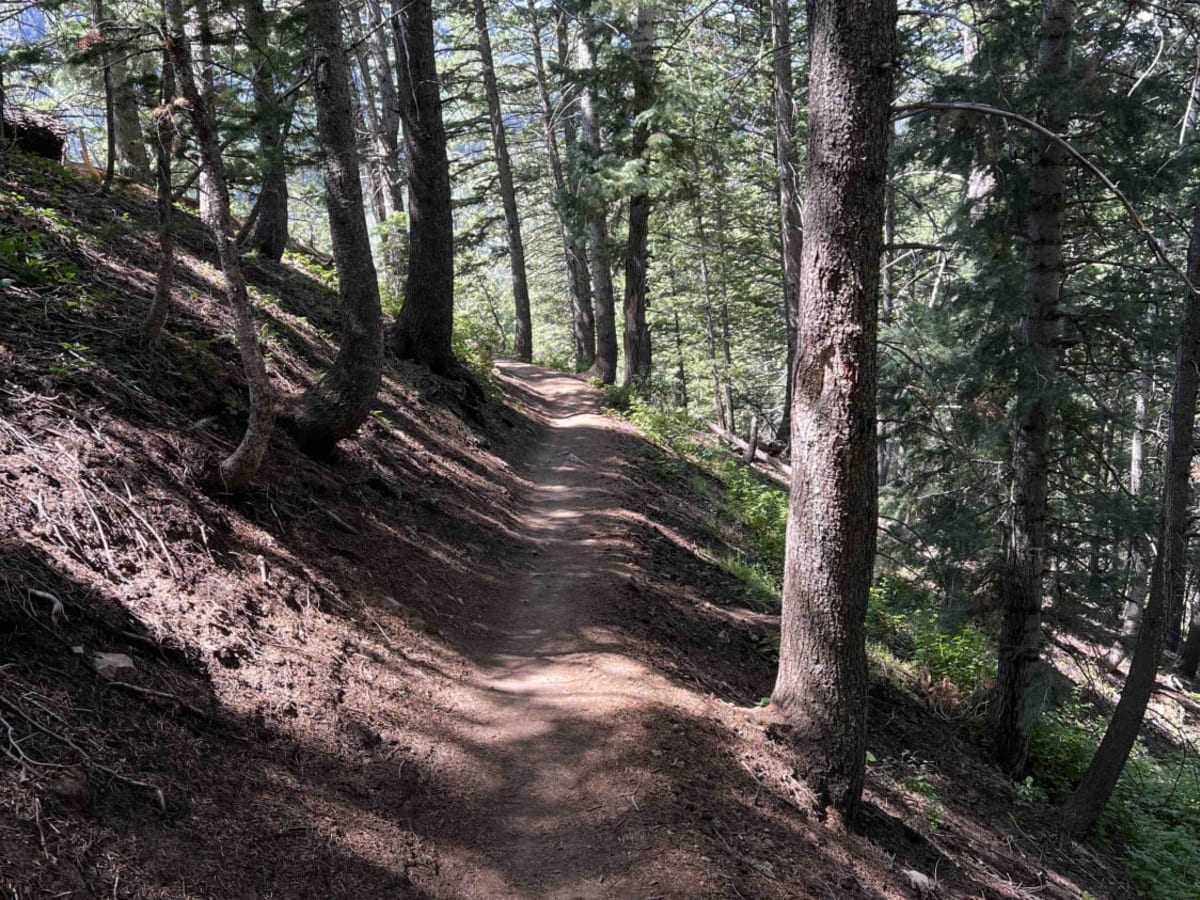 Salamander Flat (2150) trail photo