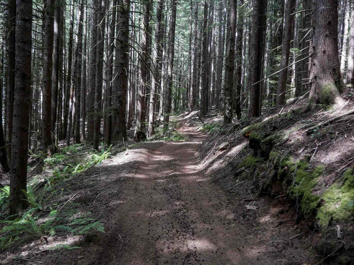 PC40 trail photo