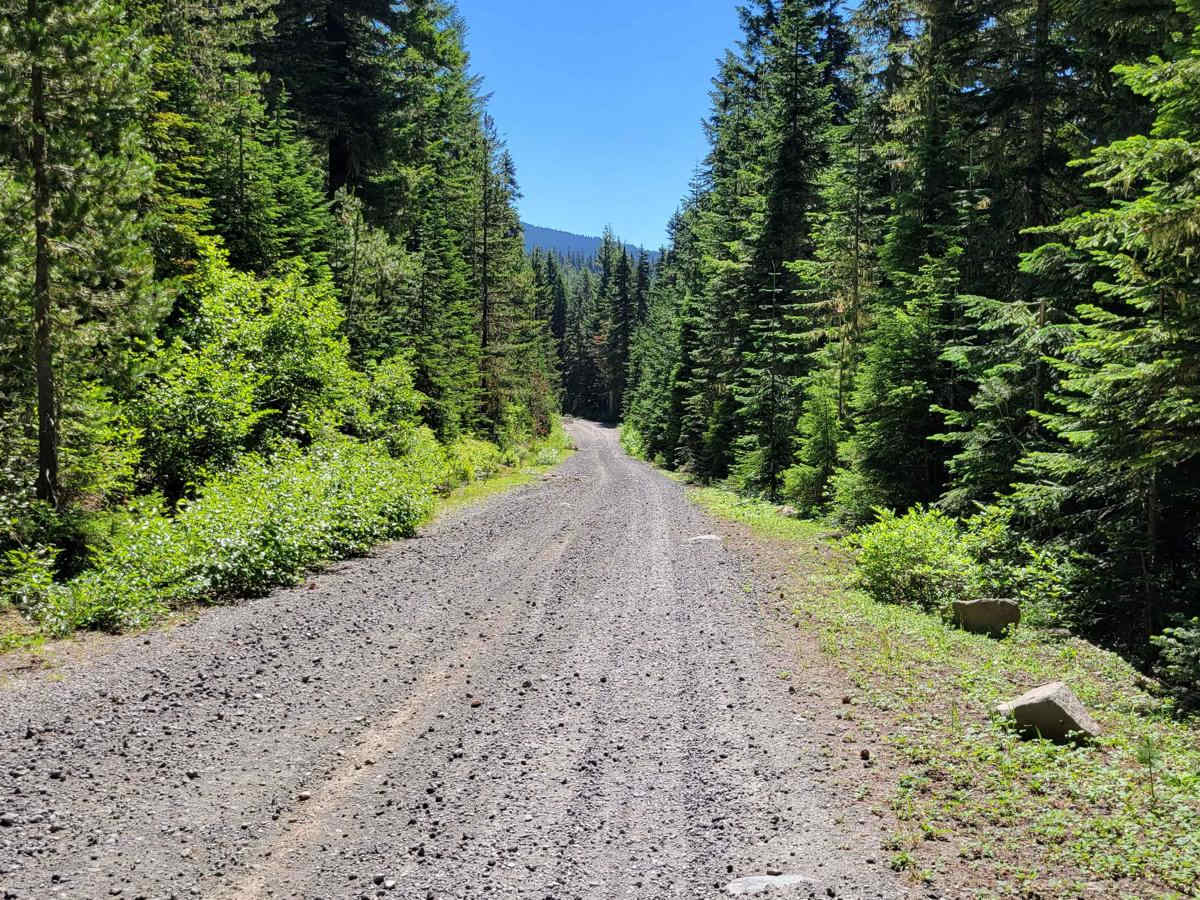 FR 65 - Panther Creek photo 5