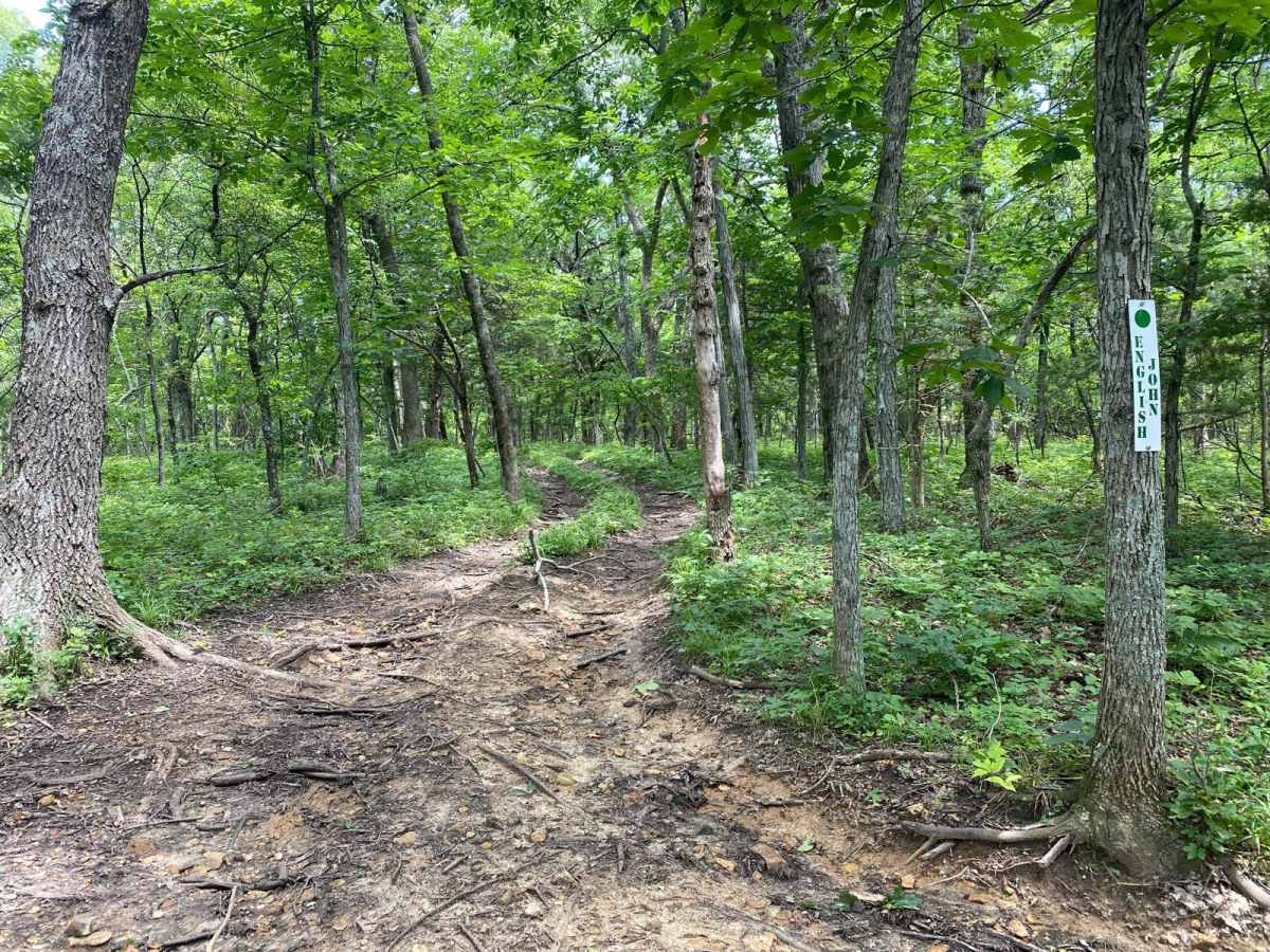 English John trail photo