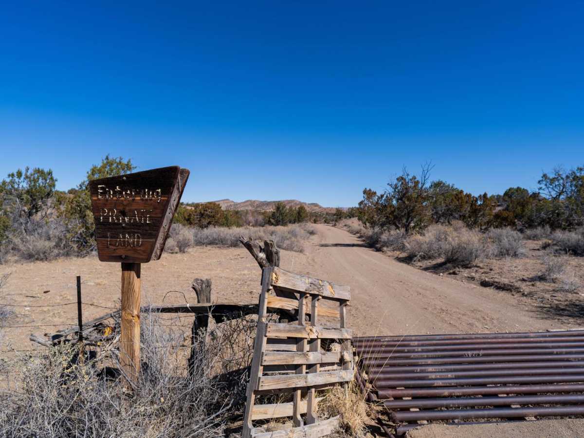 Adobe Springs photo 6
