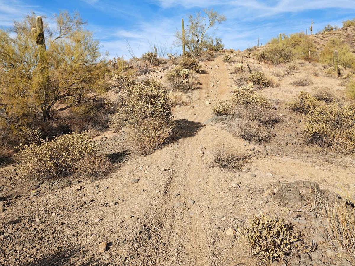 Wash Connector - Single Track photo 5