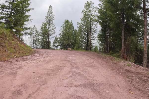Deep Creek Road-Nemote Creek Road