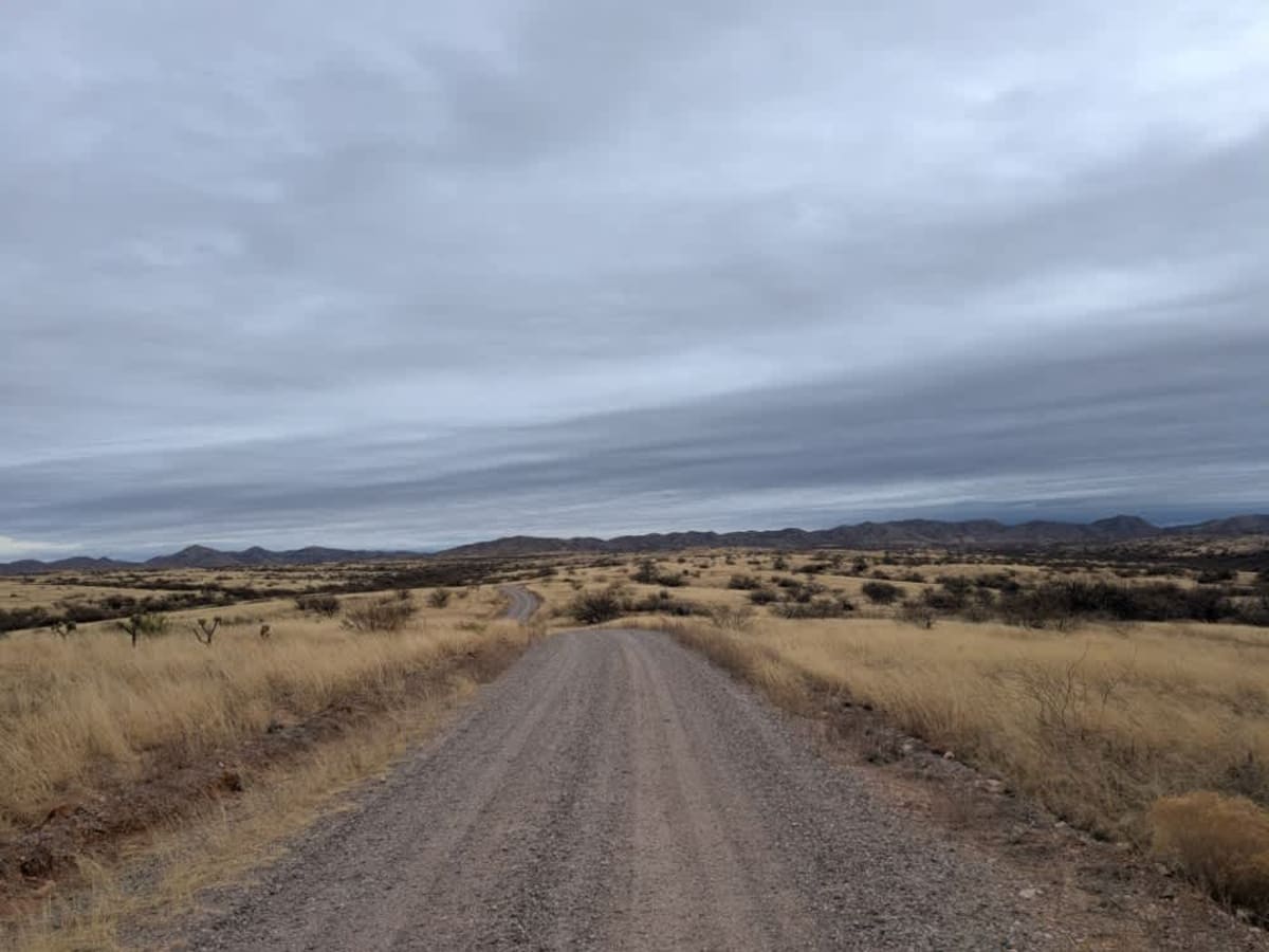 Pronghorn Tour Loop Road photo 3