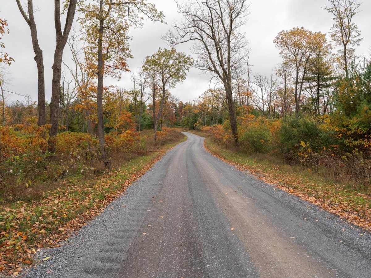 Sand Mountain Road photo 4