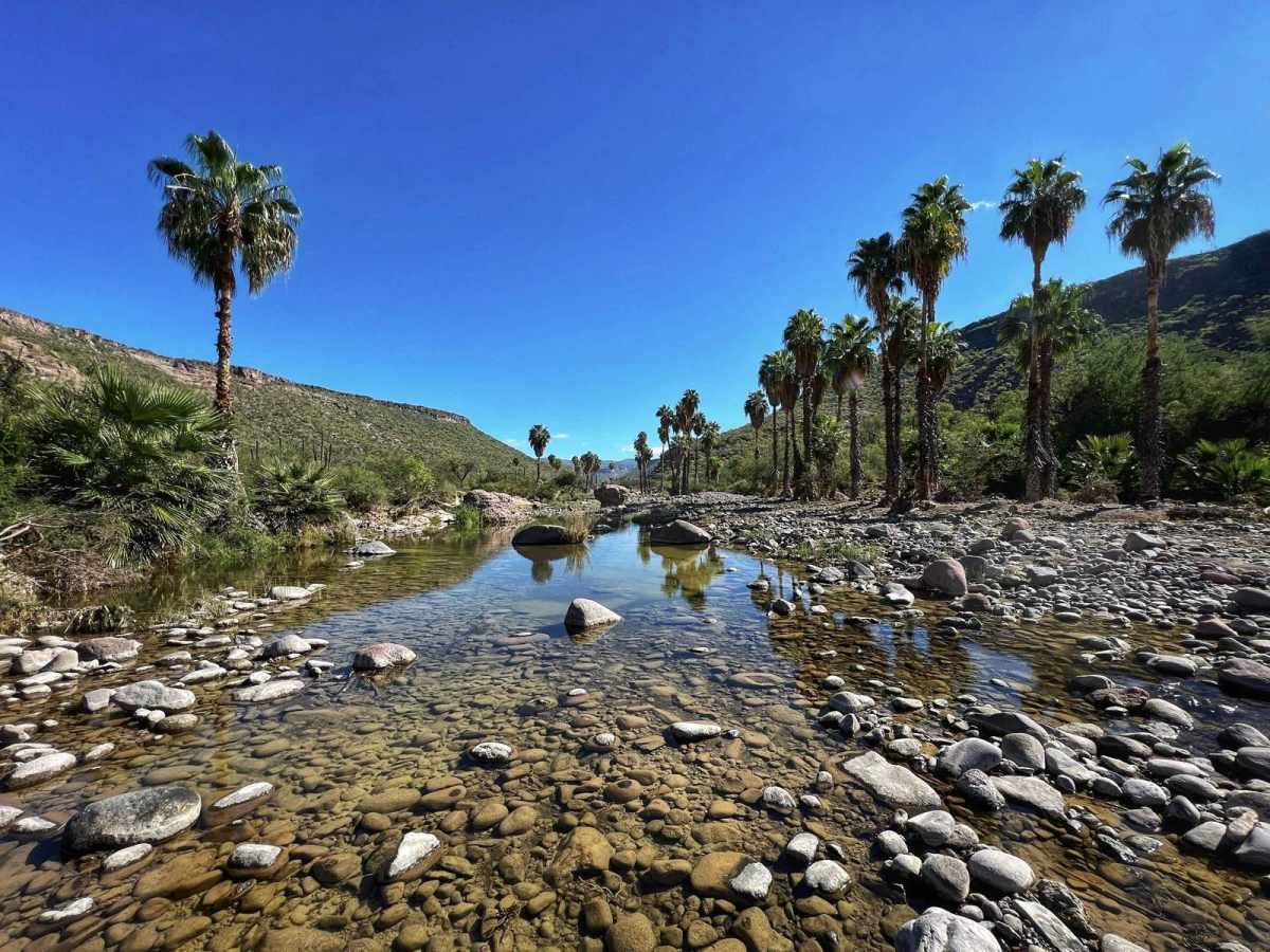 El Pelotero trail photo