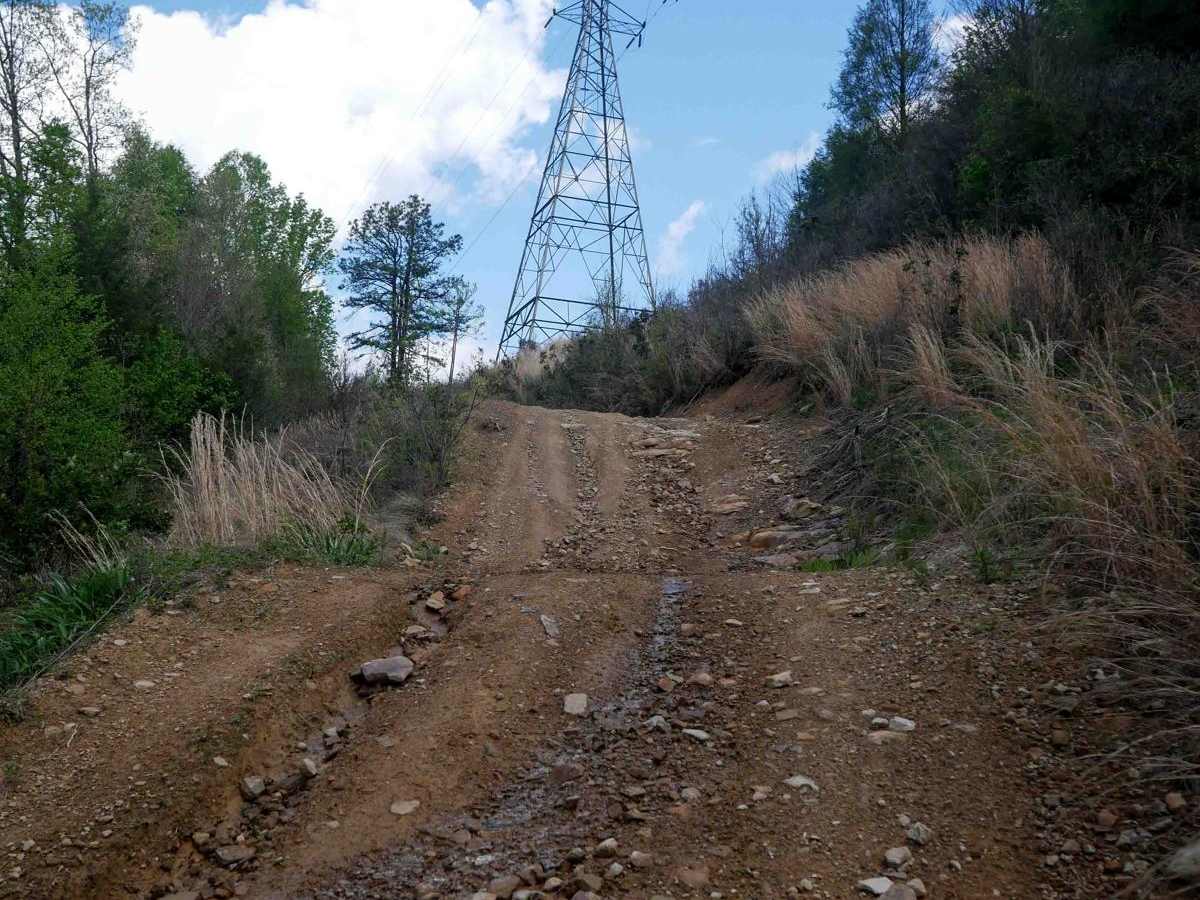 PC 41 trail photo