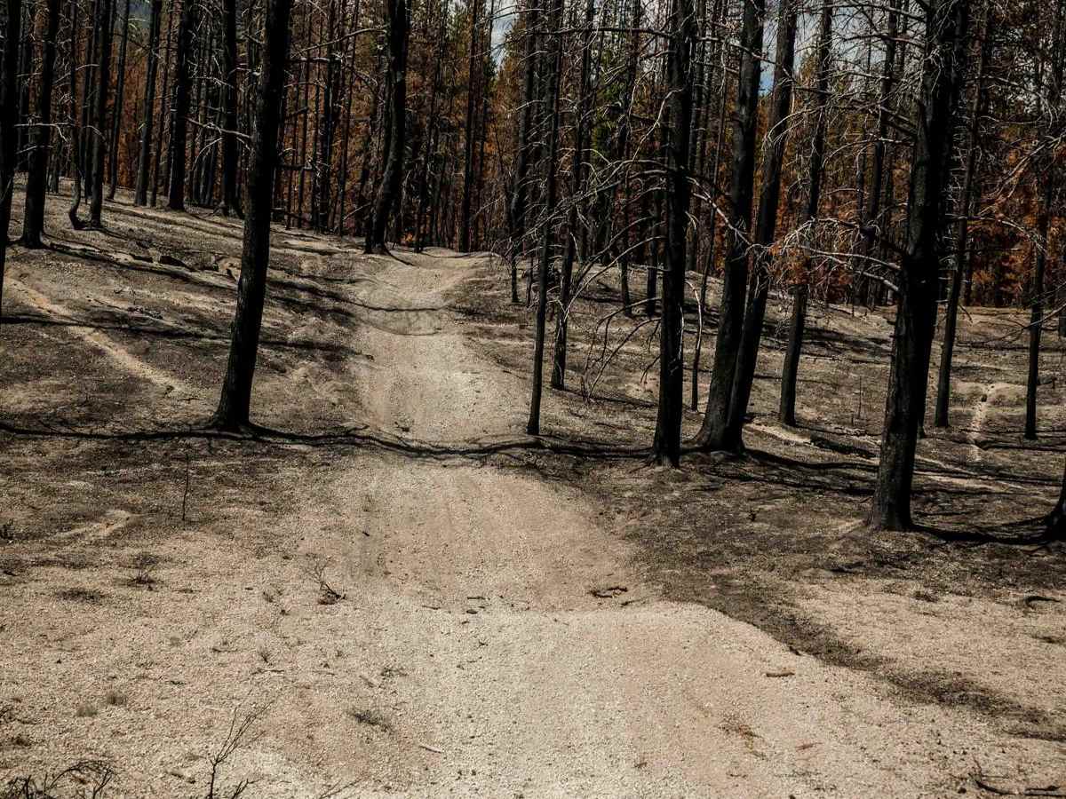 77 trail photo