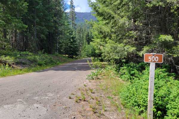 NF 500 - West Fork Buttermilk