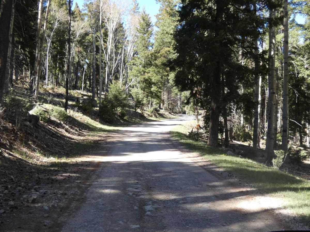 Benson Ridge photo 2