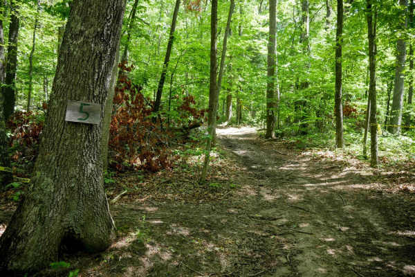 Trail 5