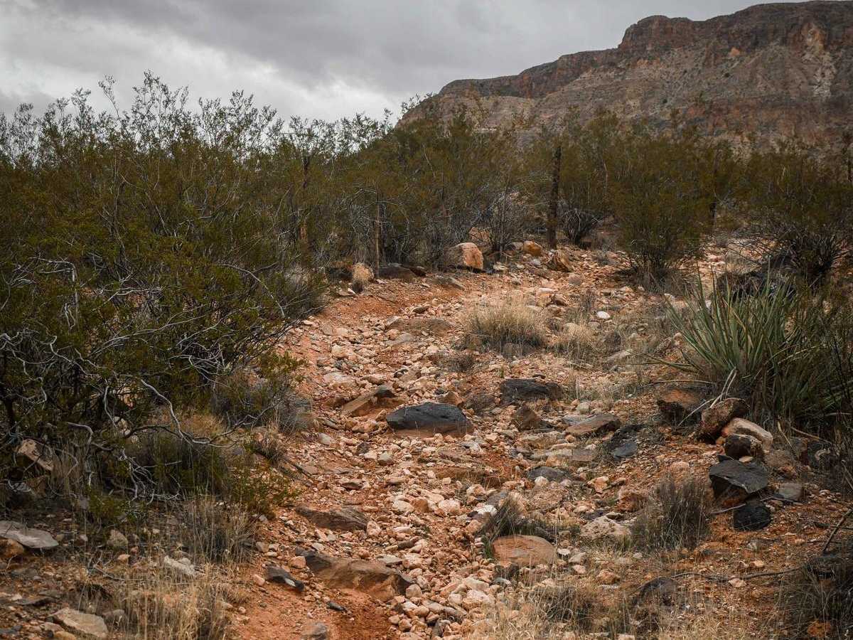 2066 Single Track photo 4