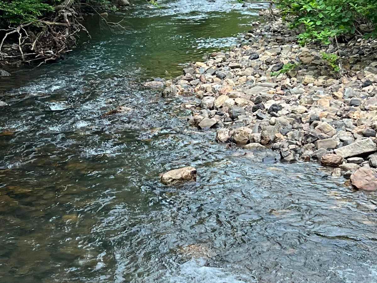 Brushy Creek photo 6